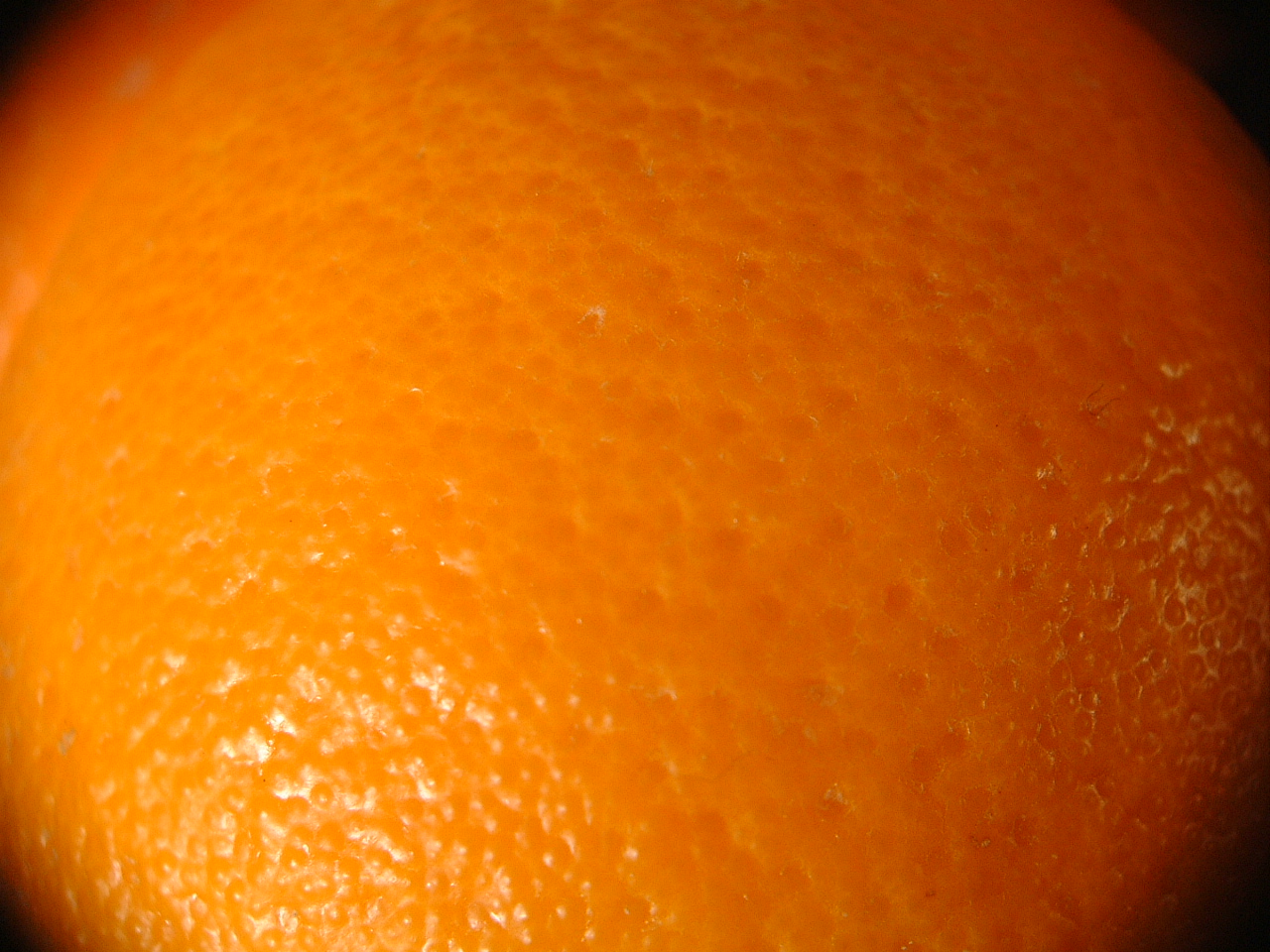 Причина апельсиновой корки. Эффект апельсиновой корки. Апельсиновая корка на коже. Причина апельсиновой корки. Антицеллюлитный.